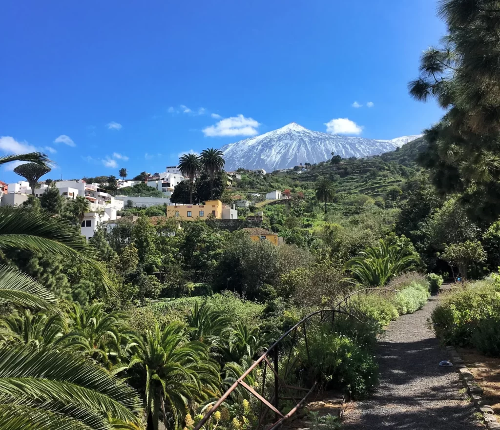 Teide summit covered with snow in winter