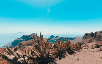 What’s the Best Time to Visit Tenerife?
