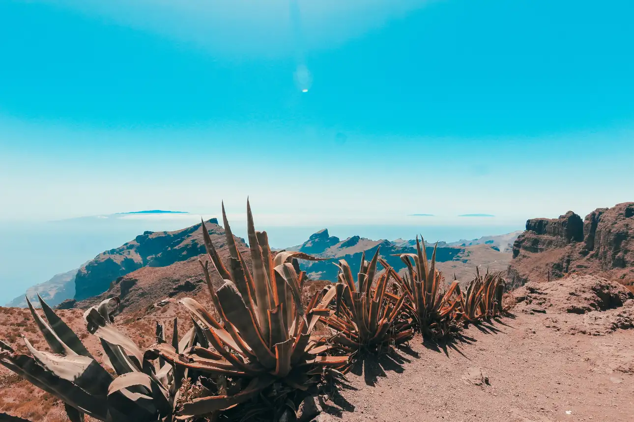 Tips and FAQs to Visit Tenerife in Winter